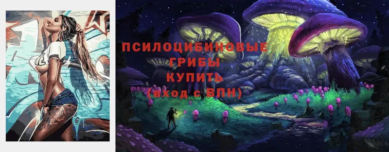 Галлюциногенные грибы Magic Shrooms  купить   Нестеровская 